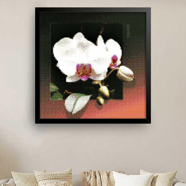 Diamantové-maľovanie-biela-orchidea-obraz-rám-izba-pribl