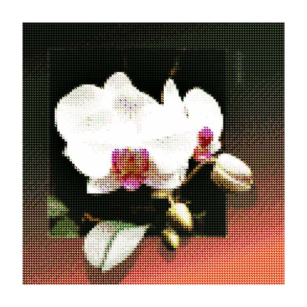Diamantové-maľovanie-biela-orchidea-obraz