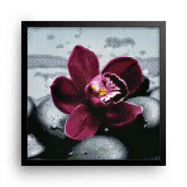Diamantové-maľovanie-fialová-orchidea-obraz-rám