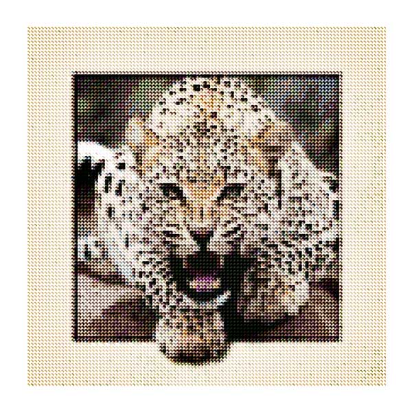 Diamantové-maľovanie-gepard-obraz