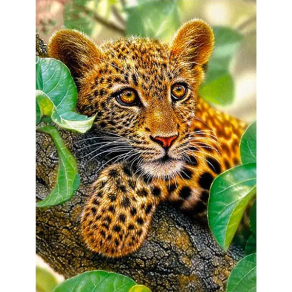 Diamantový-obraz-leopard-opt