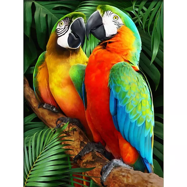 Diamantový-obraz-papagáje-farebné