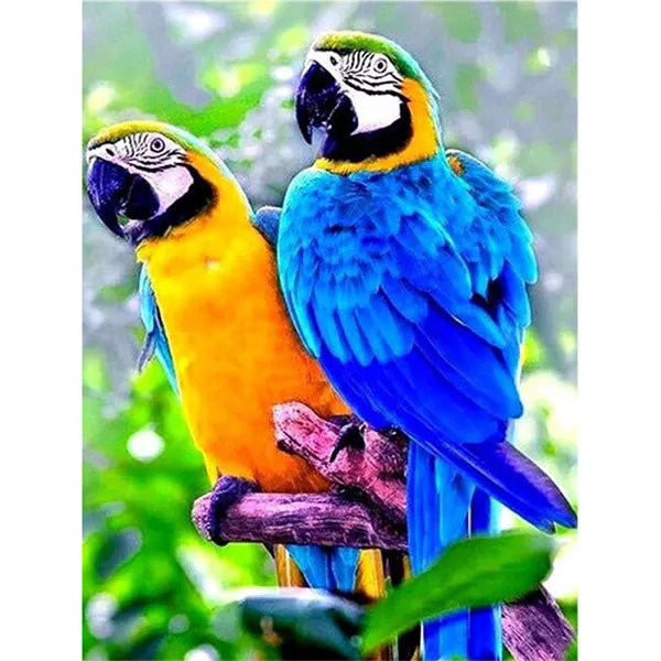 Diamantový-obraz-papagáje-modrý-žltý