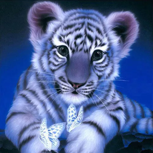 Diamantový-obraz-tigrík-motýle