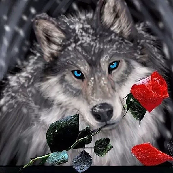 Diamantový-obraz-vlk-ruže