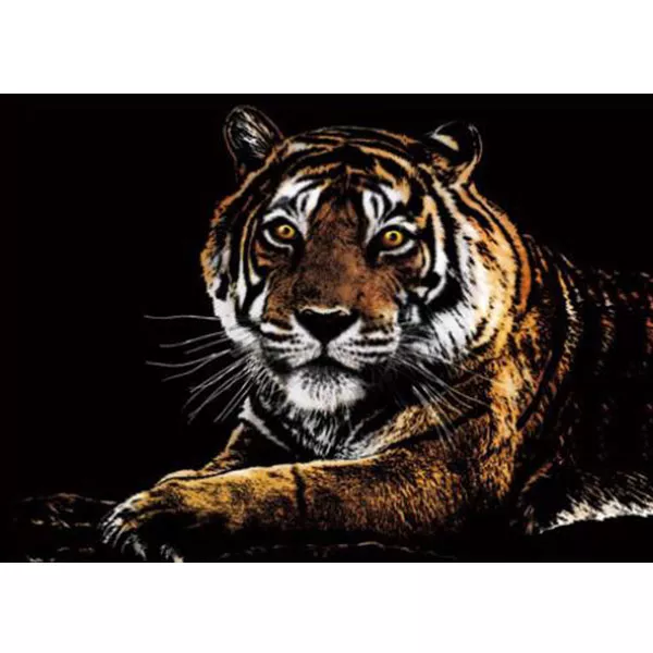 Stierací-obraz-tiger-opt