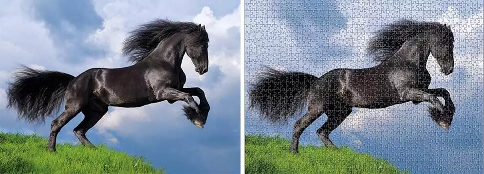 Puzzle-kôň-opt Puzzle-kôň-opt