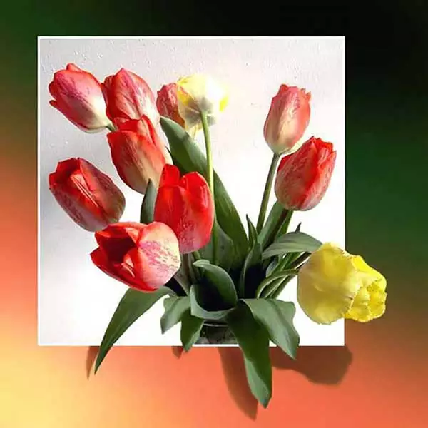 Diamantové-maľovanie-tulipány