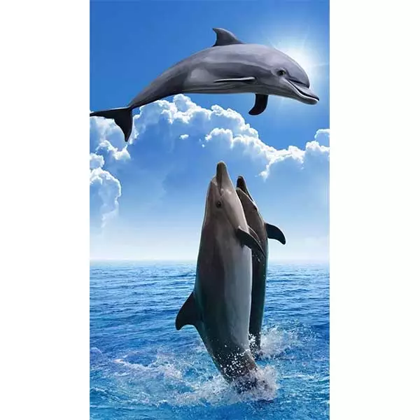 Diamantový-obraz--delfíny-a-more