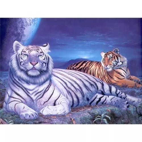 Diamantový-obraz--tigre-pri-odpočinku
