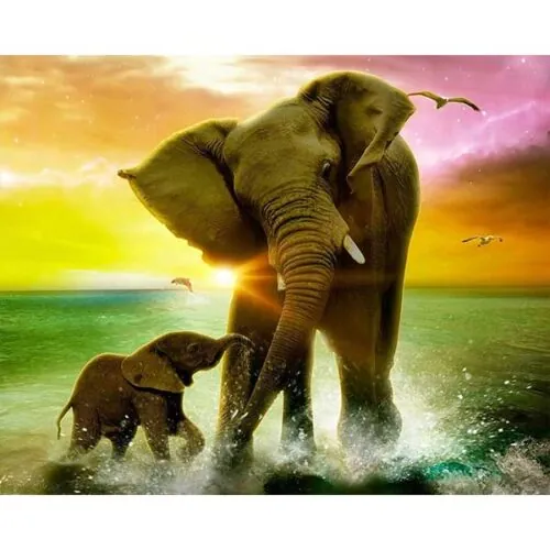 Diamantové-maľovanie-slony-voda